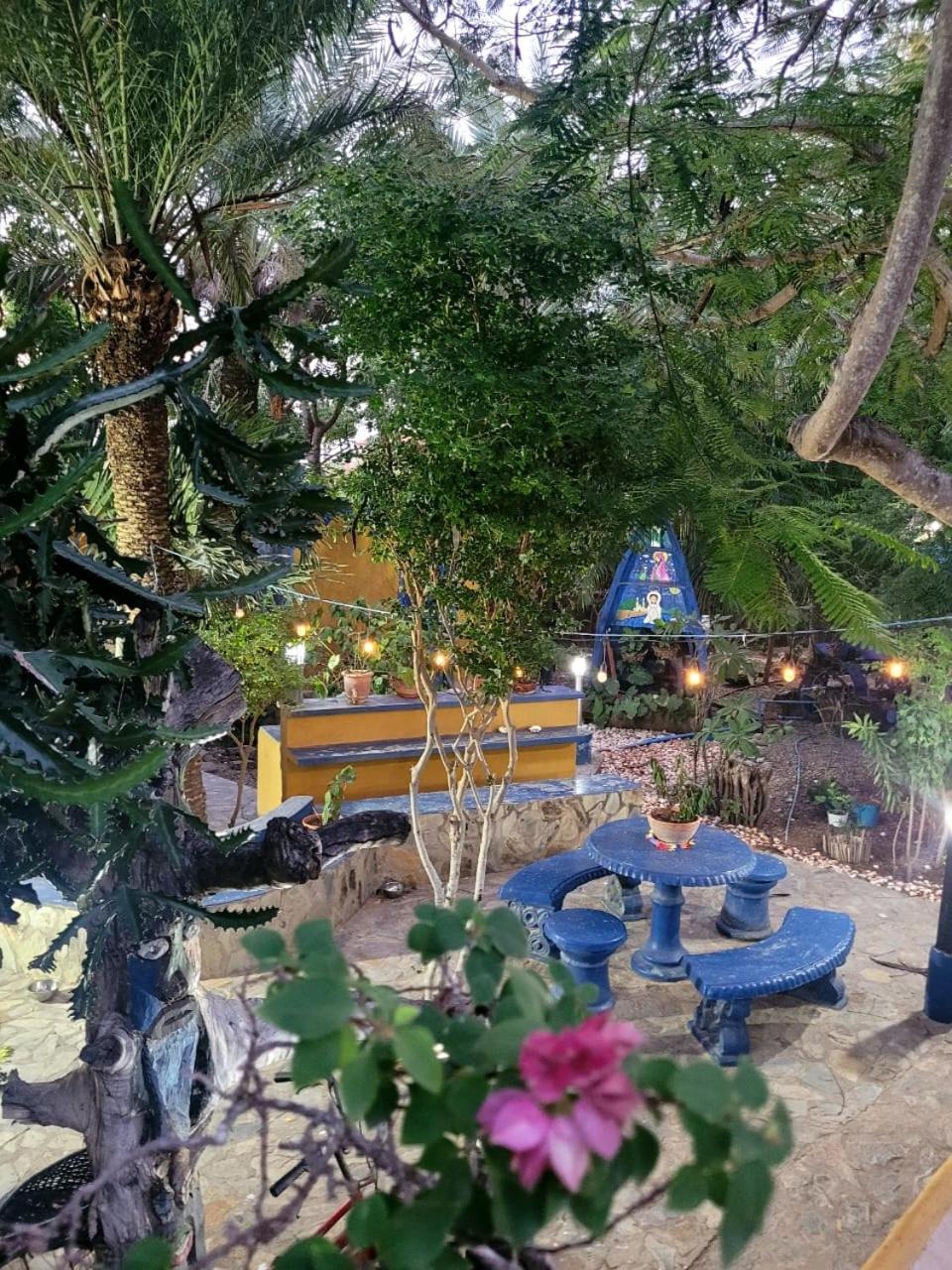 Steviewonderland Playa El Yaque Otel Dış mekan fotoğraf