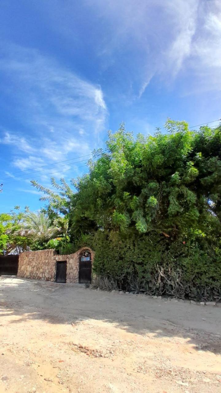Steviewonderland Playa El Yaque Otel Dış mekan fotoğraf
