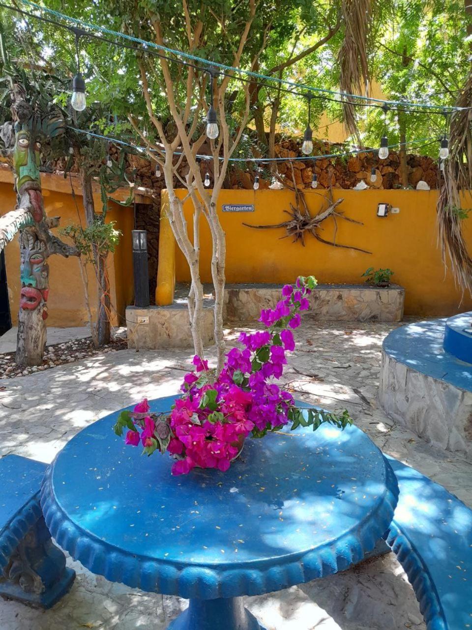 Steviewonderland Playa El Yaque Otel Dış mekan fotoğraf