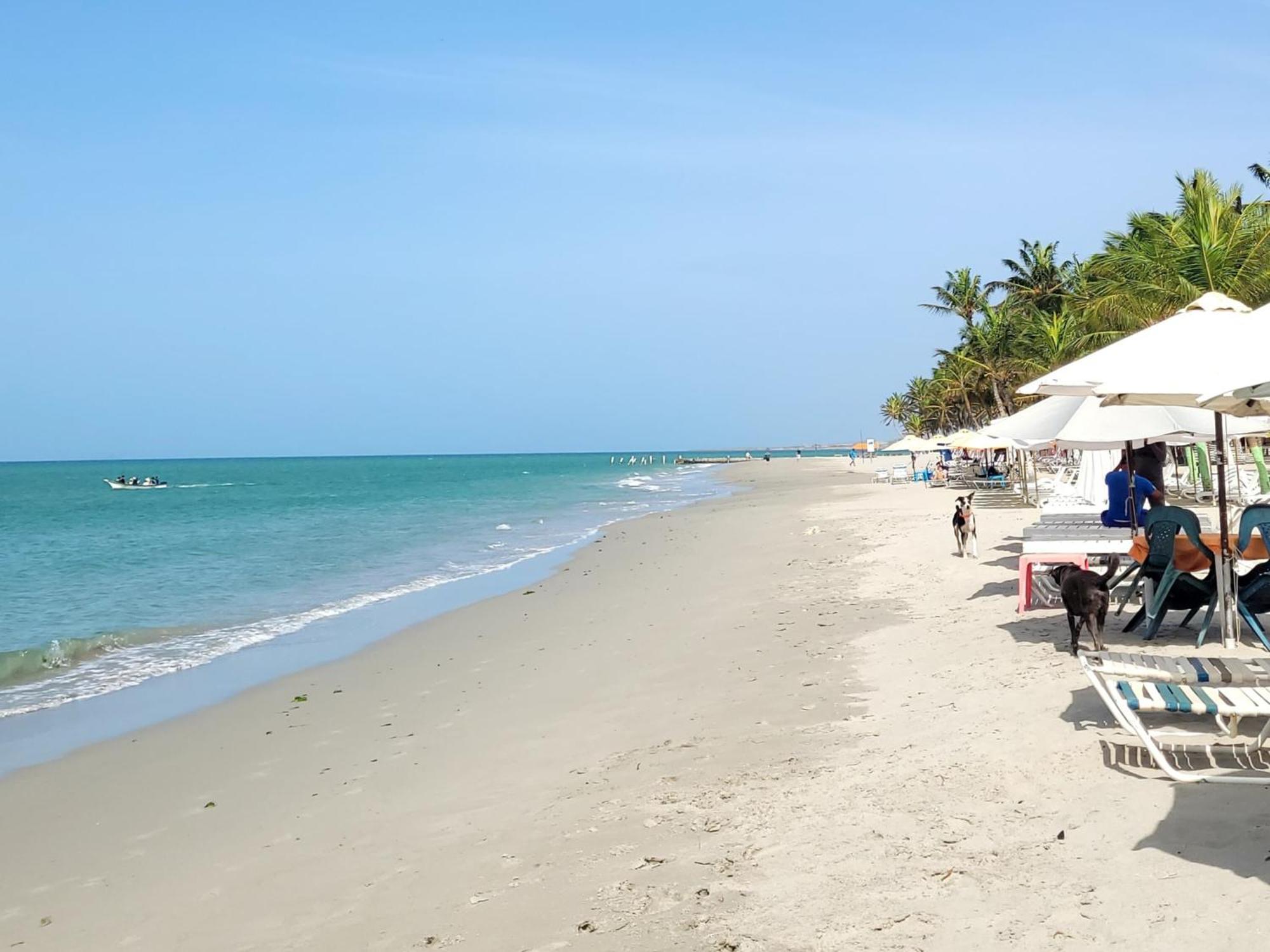 Steviewonderland Playa El Yaque Otel Dış mekan fotoğraf